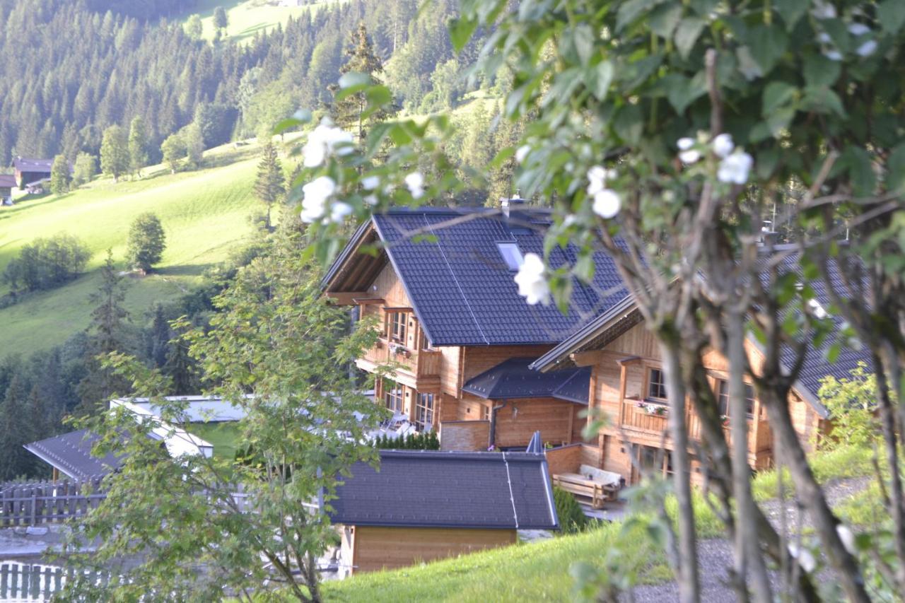 Bergseegut Chalet Und Apartment Wagrain Exterior foto